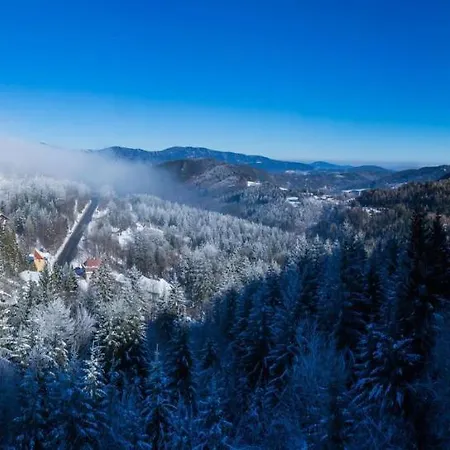 Renona Rehabilitation 3* Semmering